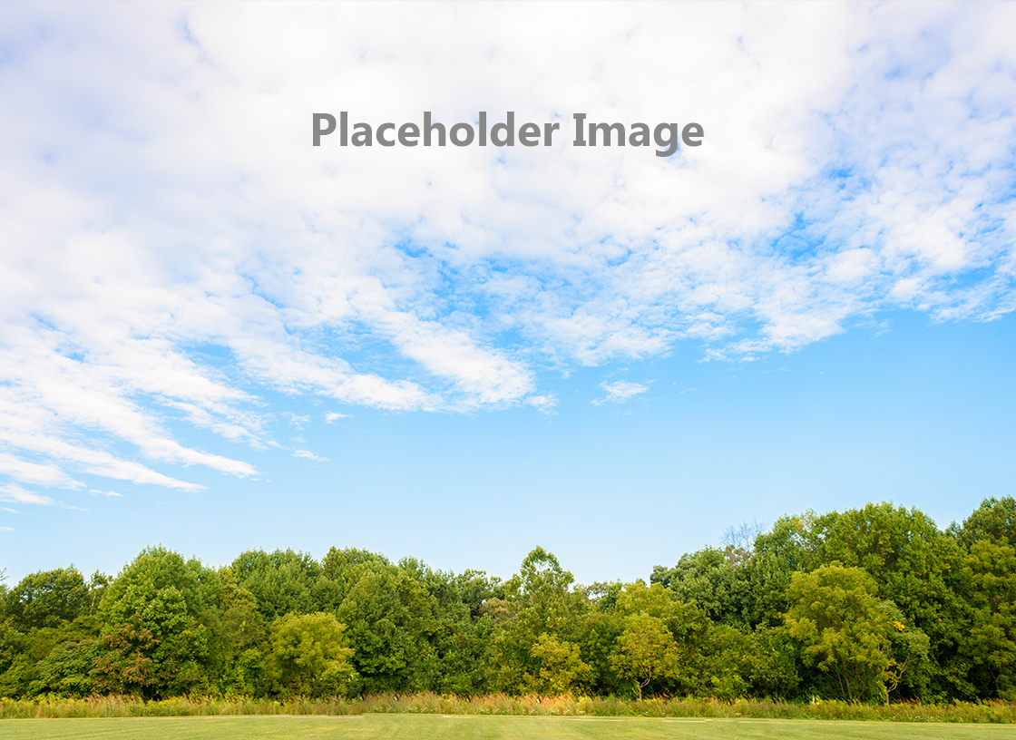 This is a placeholder image.