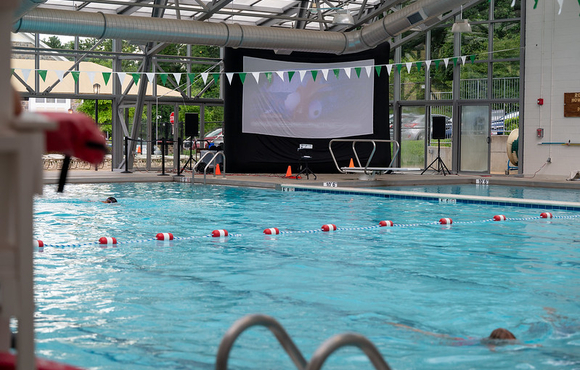 dive in movie