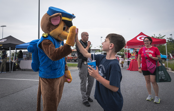 boy high fives costumed character
