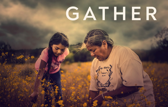 A woman teaches a child how to pick specific medicinal yellow flowers in a field.