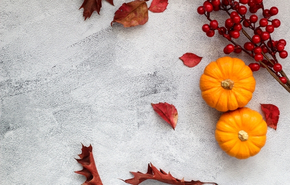 gray background covered with burgandy-colored leaves, berries, and small pumpkins 