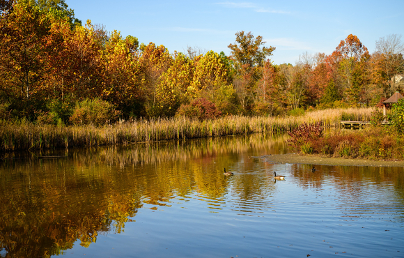 A view of a lake with trees changing colors for fall.
