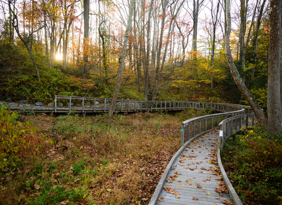 Haviland Park1