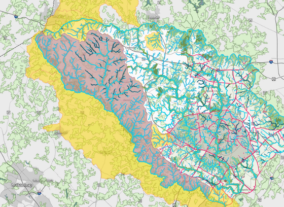 Screen shot highlighting tree canopy in Howard County