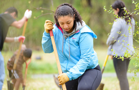 Volunteer