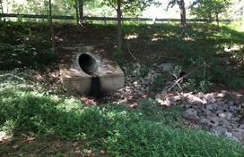 Ducks Foot Lane Stream Restoration Project