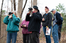 bird hike