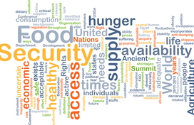 Food Security