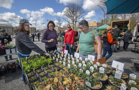 visitors purchasing native plants at greenfest