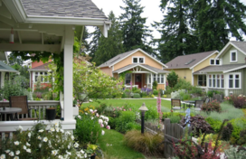 Photograph of six cottage cluster homes around a shared courtyard in Shoreline, WA