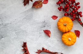 gray background covered with burgandy-colored leaves, berries, and small pumpkins 