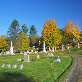 Image of a cemetery with fall colored trees and and a gravel road