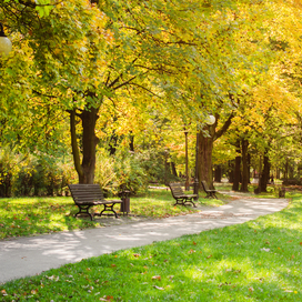 public places