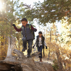 youth trail hikes