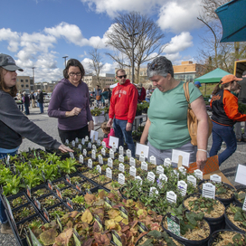 visitors purchasing native plants at greenfest