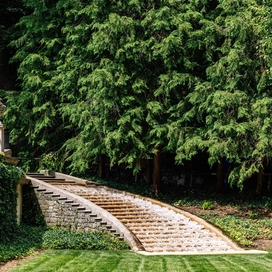 Stone staircase at Longwood Gardens with pine trees in the background.