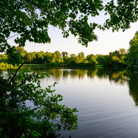 A photo of a lake and trees.