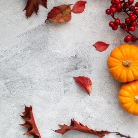 gray background covered with burgandy-colored leaves, berries, and small pumpkins 