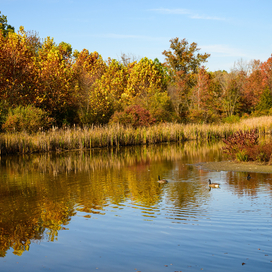 A view of a lake with trees changing colors for fall.